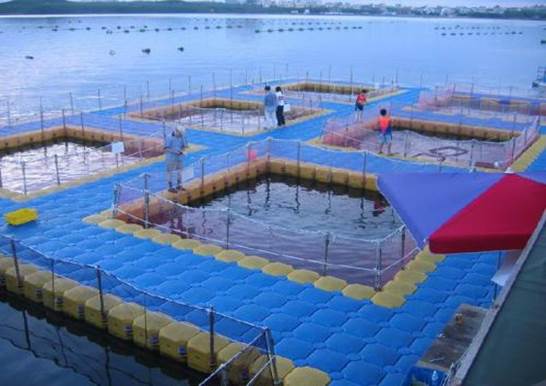 說明: https://ss0.bdstatic.com/70cFuHSh_Q1YnxGkpoWK1HF6hhy/it/u=4205579537,16920509&fm=27&gp=0.jpg