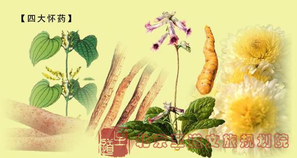 clip_image013.jpg clip_image013.jpg