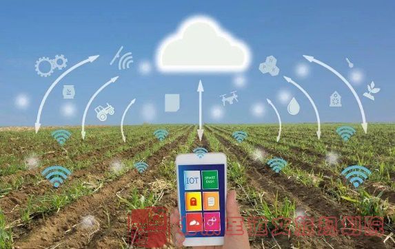 clip_image017.jpg clip_image017.jpg