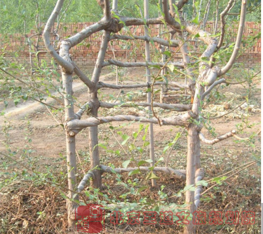 clip_image010.png clip_image010.png