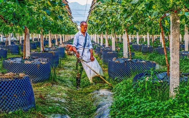 0dd7912397dda14410873d8f1c7b4da40df48650.jpeg 0dd7912397dda14410873d8f1c7b4da40df48650.jpeg