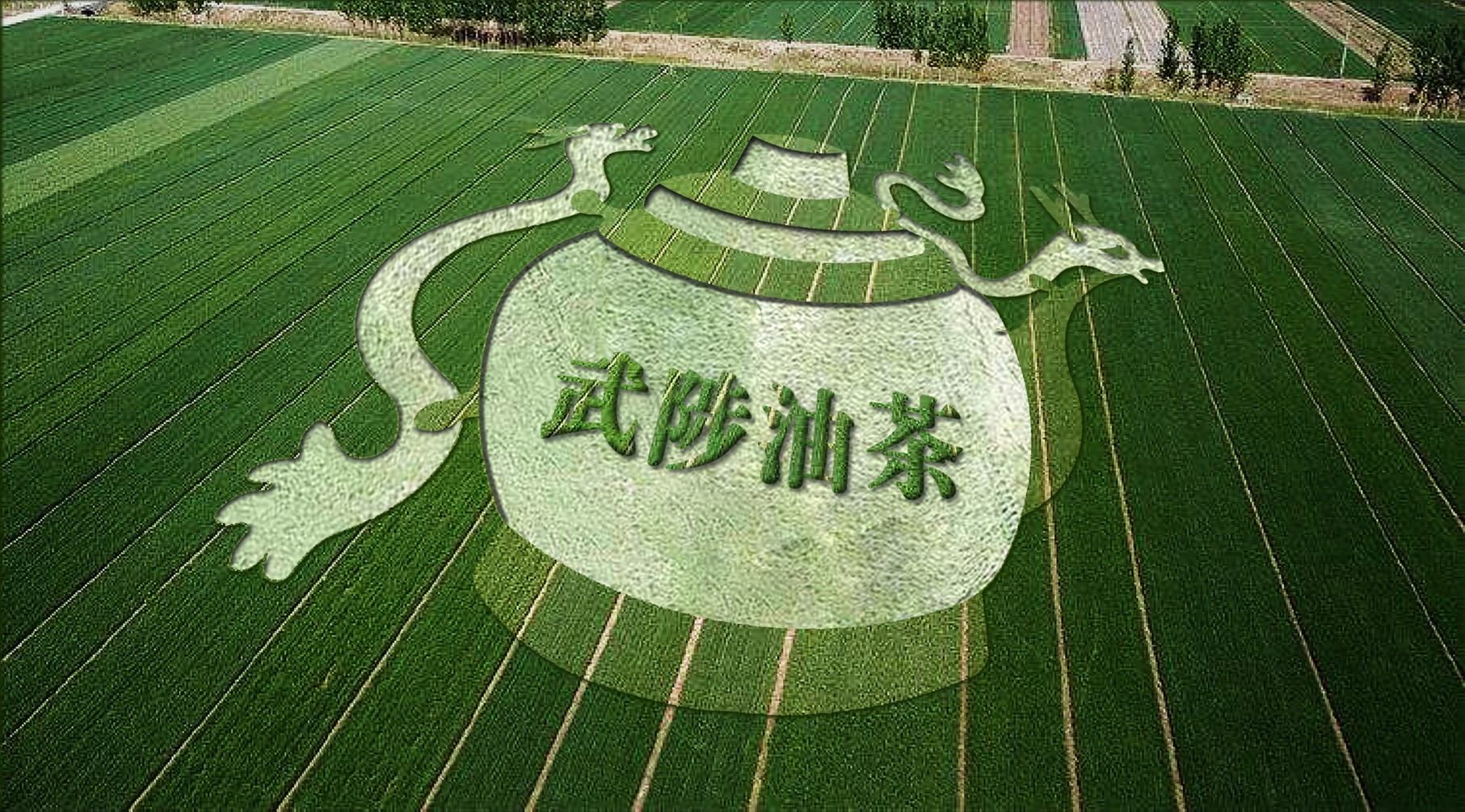 圖片2.jpg 圖片2.jpg